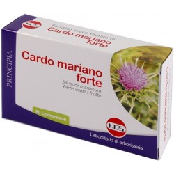 Kos Cardo Mariano Forte 60...