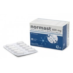 Epitech Group Normast 600mg...