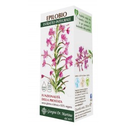 Dr. Giorgini Ser-vis...