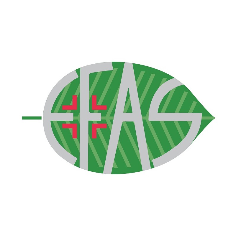 E. Fa. S. Argan100 30 Ml