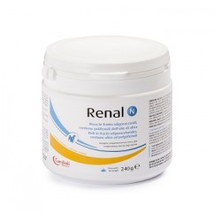 Candioli Ist. Profil. E...