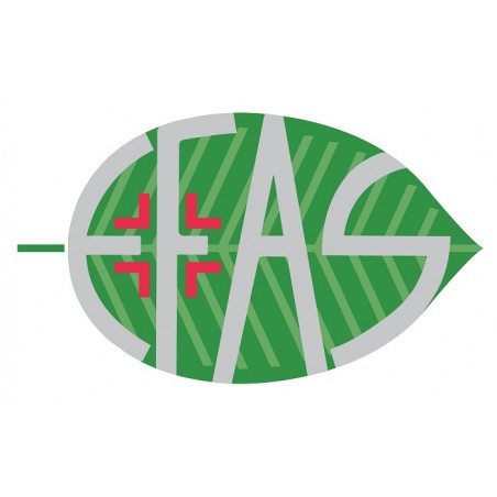 E. Fa. S. Argan100 60 Ml