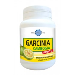 60 capsule garcinia cambogia forte bodyline