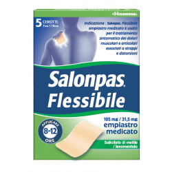 Hisamitsu Italia Salonpas...