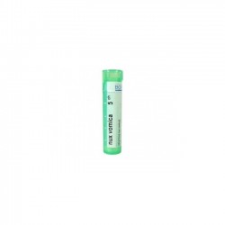 Boiron Nux Vomica Boi 5ch 80gr 4g
