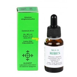 Alkaest Mgs16 Ribes...