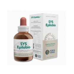 Forza Vitale Italia Sys...