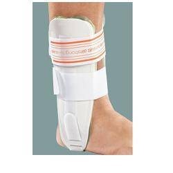 Ro+ten Tutore Bivalva...