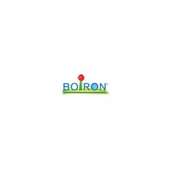 Boiron Berberis Vulg Boi 200ch Gl 1g