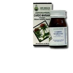 Arcangea Cardo Mariano 60...