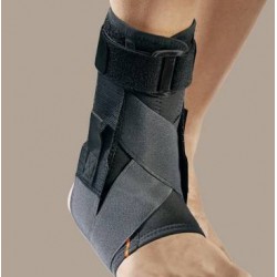 Ro+ten Cavigliera Con...