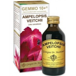 Dr. Giorgini Ser-vis Vite...