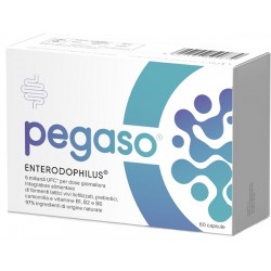 Schwabe Pharma Pegaso...