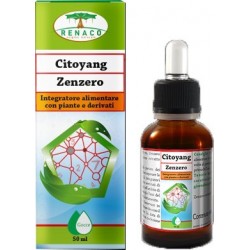 Renaco Italia R. I. Group Citoyang Zenzero Gocce Flaconcino 50 Ml