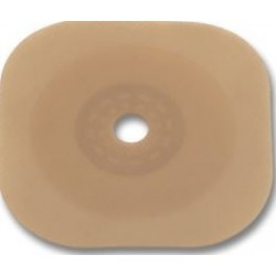 Hollister Conform 2 Placca...