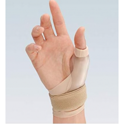 F. G. P. Programma Rizoartr...