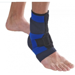 Dual Sanitaly Soc. Benefit...