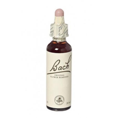 Natur Bach Center Ess Aspen 20ml