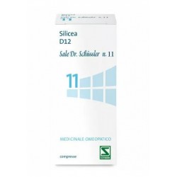 Schwabe Pharma Italia Sale Dr Schussler N.11 Sil 200