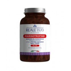 Lodifa Reale 1870...