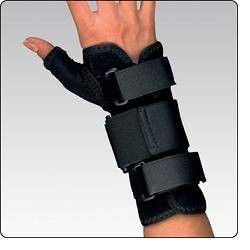 F. G. P. Polsiera Steccata...