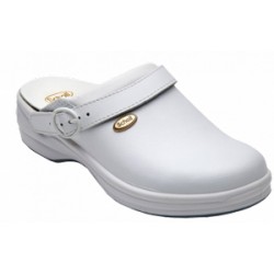 Scholl New Bonus Unpunched...