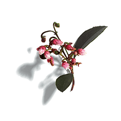 Caudalie Vinopure Gel Detergente 150 Ml