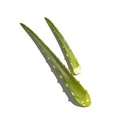 Caudalie Italia Vinosource-hydra Gel Acqua D'uva 50 Ml