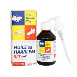 Equality Olio Di Haarlem...