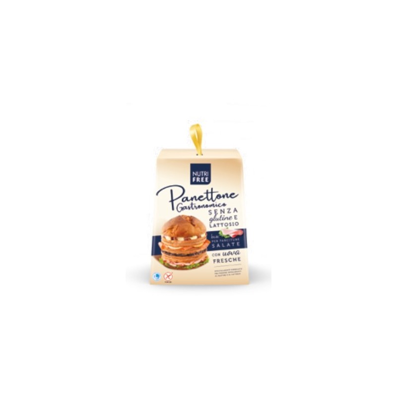 Nt Food Nutrifree Panettone Gastronomico 400 G
