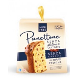 Nt Food Nutrifree Panettone...