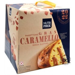 Nt Food Nutrifree Panettone...