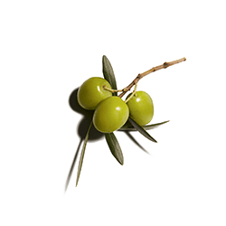 Caudalie Italia Vinosource-hydra Crema Sos 40 Ml