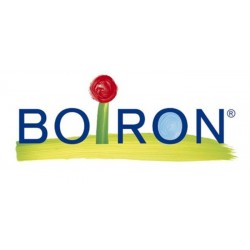 Boiron Sambucus Nig Boi 7ch...