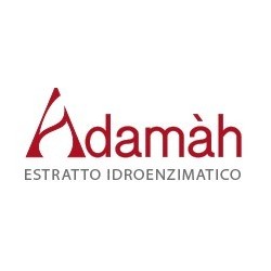 Adamah Eie Lip Zinco 60 Ml