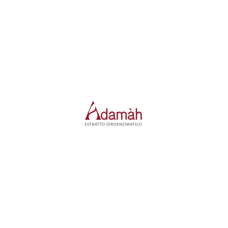 Adamah Eie Lip Zinco 60 Ml