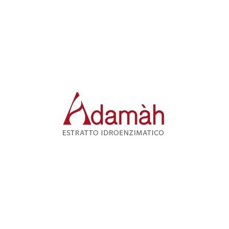 Adamah Eie Lip Zinco 60 Ml
