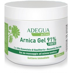 Consulteam Adegua Arnica...