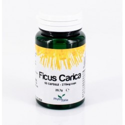 Phytoitalia Ficus Carica 60...