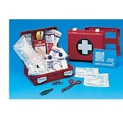 Farmacare Cassetta Pronto Soccorso Family Per Campeggio, Bricolage, Casa E Ufficio. Contenitore In Abs Antiurto Con Supporto Per