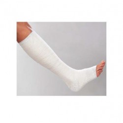 Lohmann & Rauscher Benda...