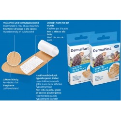 Paul Hartmann Cerotto...