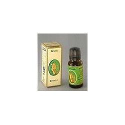 Flora Lavanda Vera Olio...