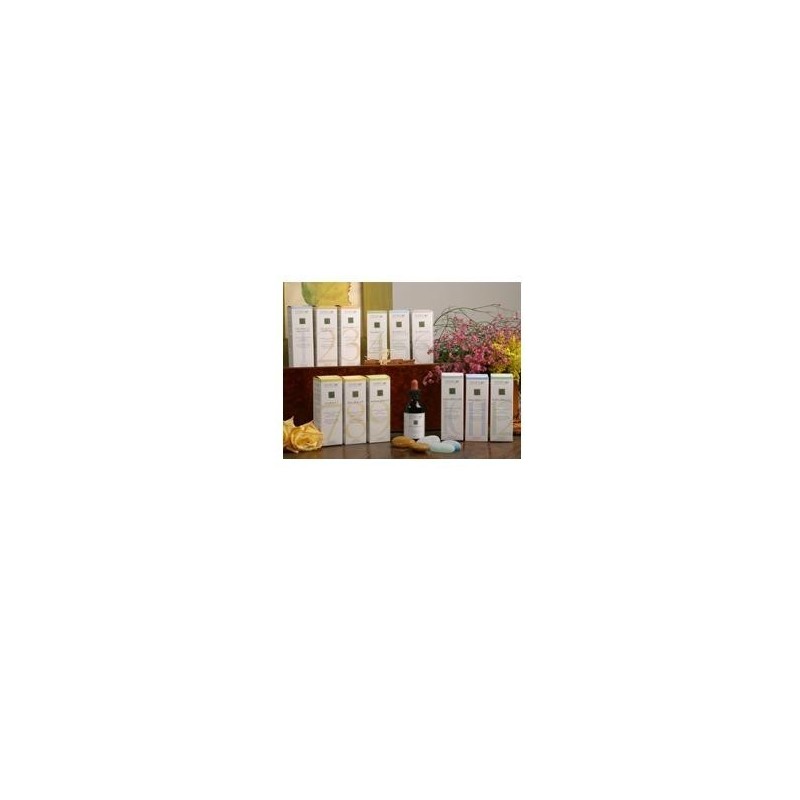 Santiveri Zef01 Coloplant Fred Stv