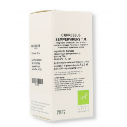 Oti Cupressus Sempervirens...