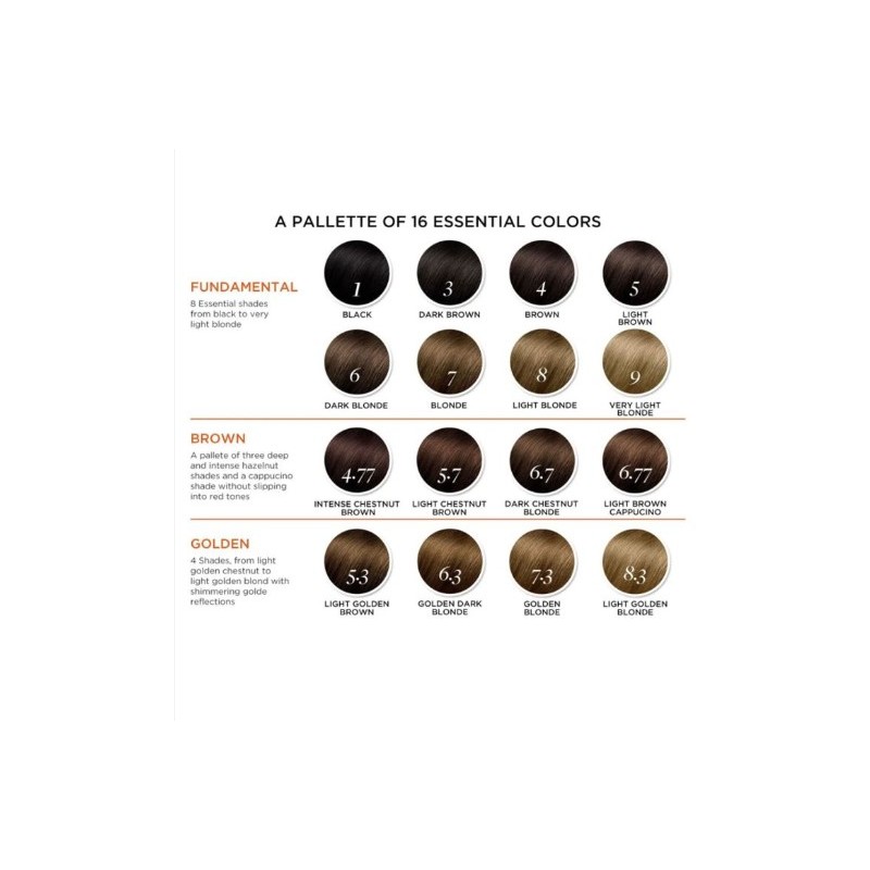 Phyto Color Kit 6 Biondo Scuro 1 Latte 50 Ml + 1 Crema 50 Ml + 1 Maschera 12 Ml