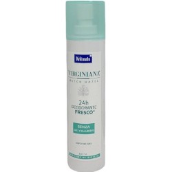 Kelemata Virginiana 24h...