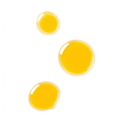 Wala Italia Dr Hauschka Olio Riequilibrante Giorno 18 Ml