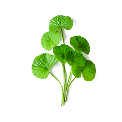 Caudalie Italia Vinosource-hydra Maschera Idratante 75 Ml