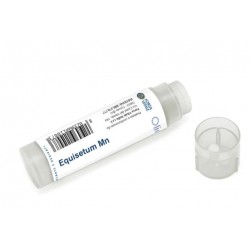 Forza Vitale Italia...